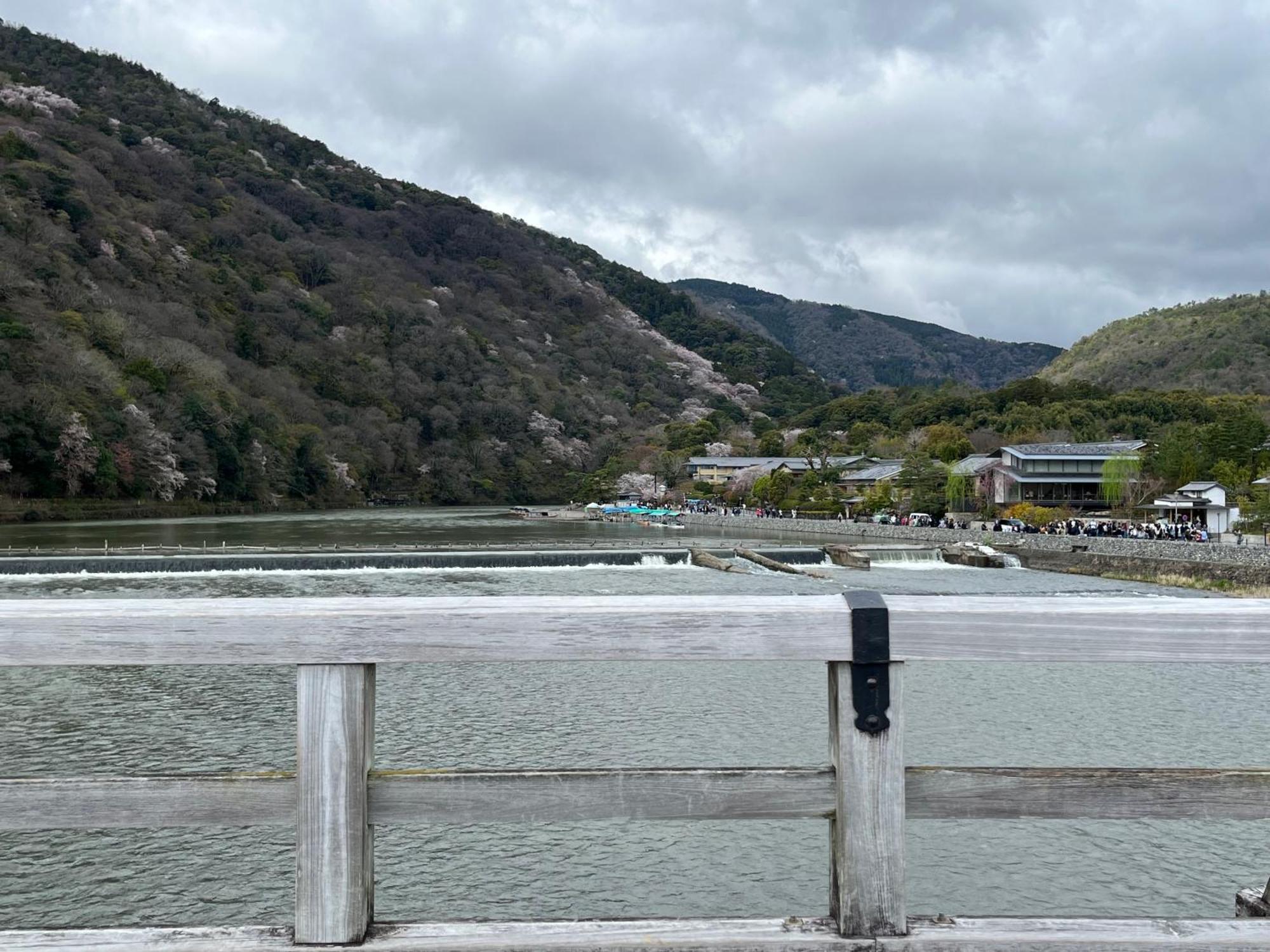 嵐山 天龍の宿 駐車無料 一棟貸切 最大5人 Dragon Legend Arashiyama Central Private Rare Modern Villa Free Parking Max 5Ppl 博扬萨戈 外观 照片